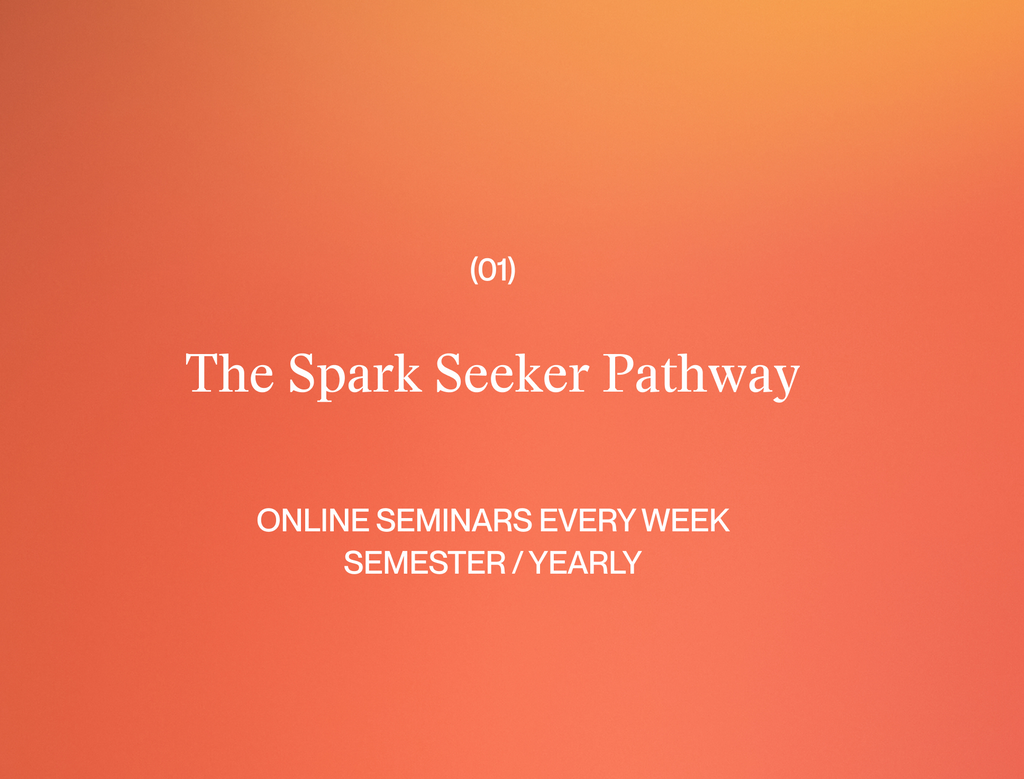 The Spark Seeker (full year)