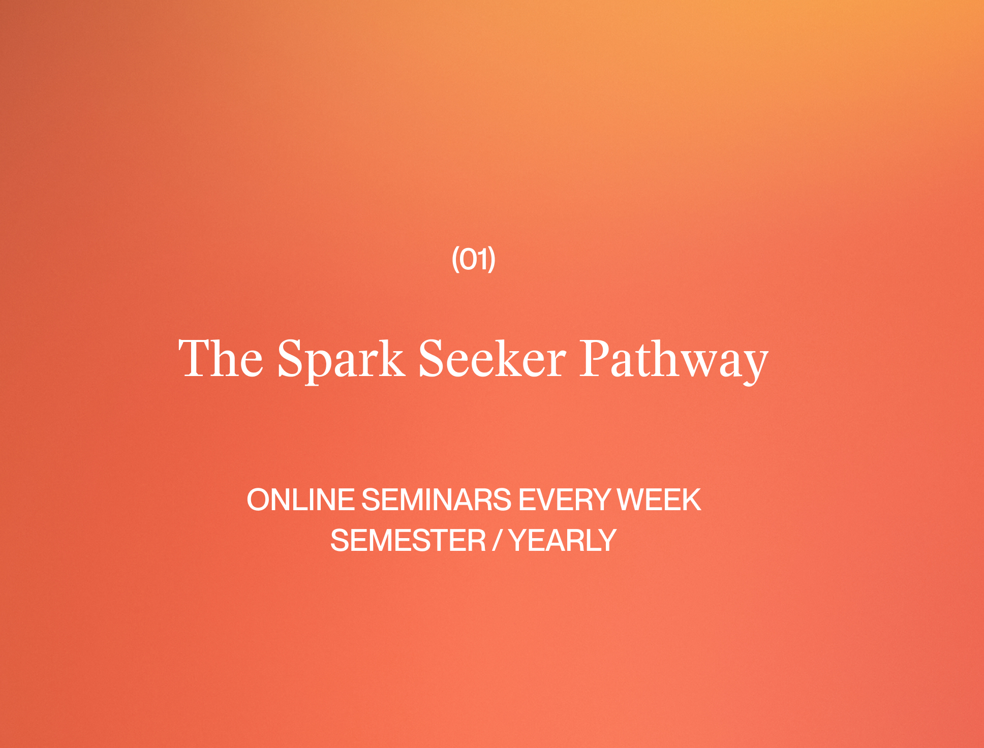 The Spark Seeker (full year)